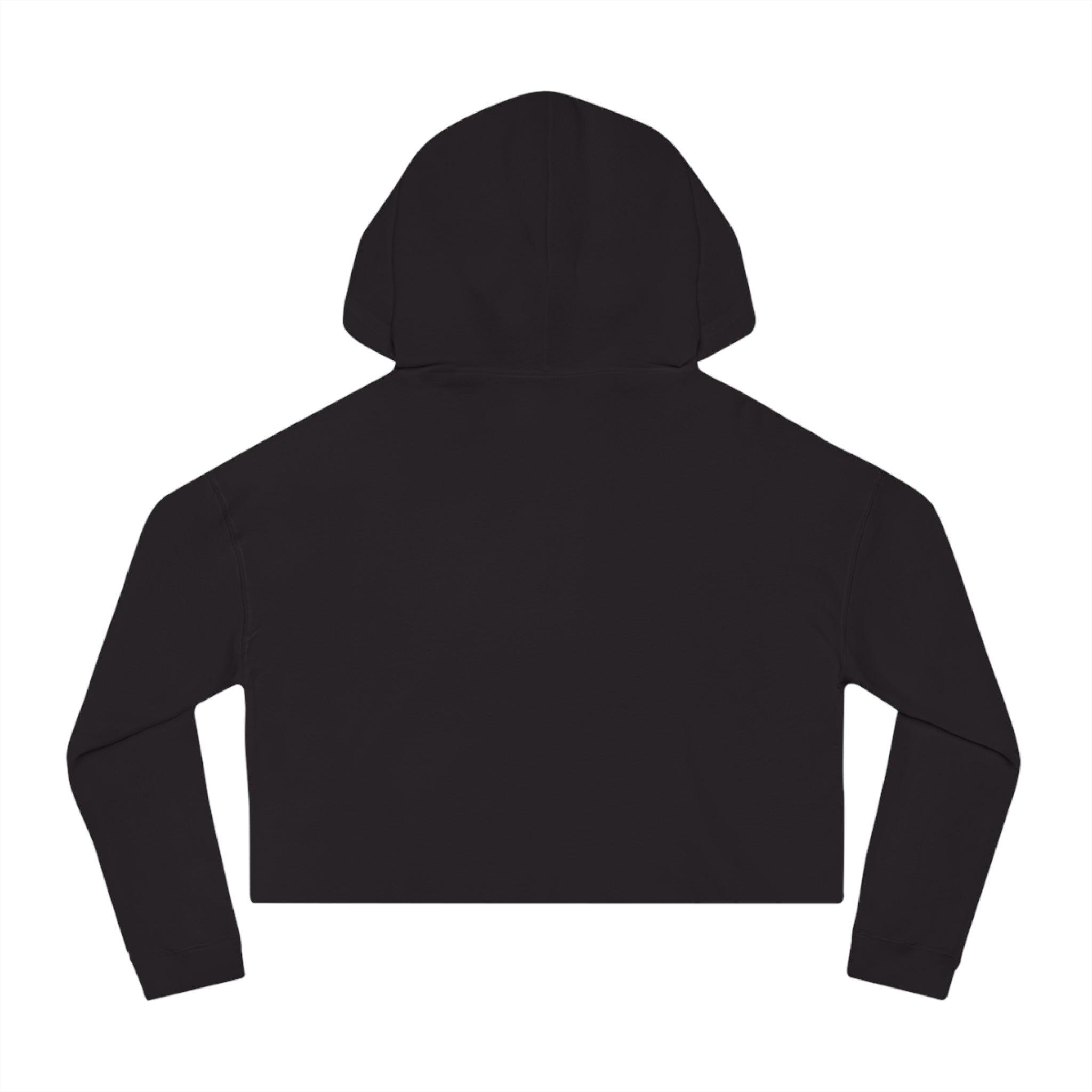 Soft Girl Era Cropped Hoodie #2 •B.A Collection