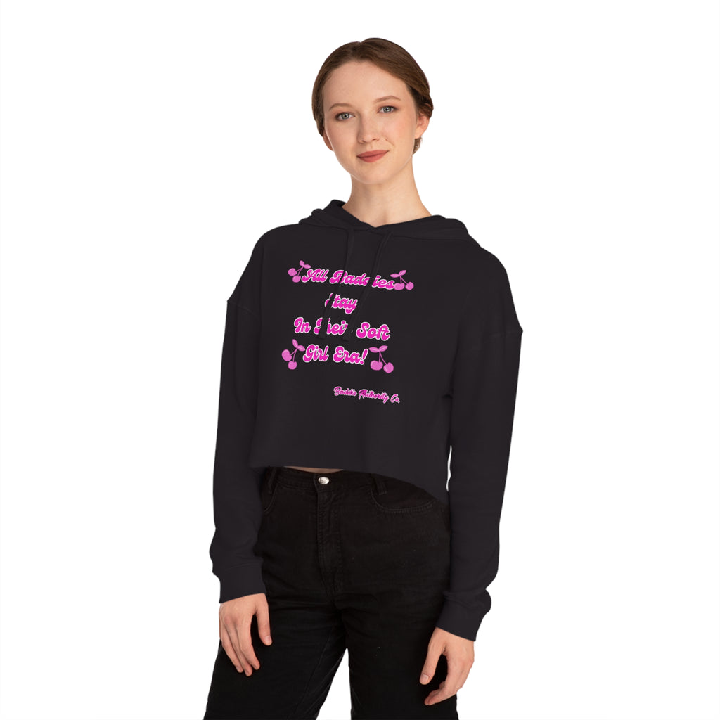 Soft Girl Era Cropped Hoodie #2 •B.A Collection
