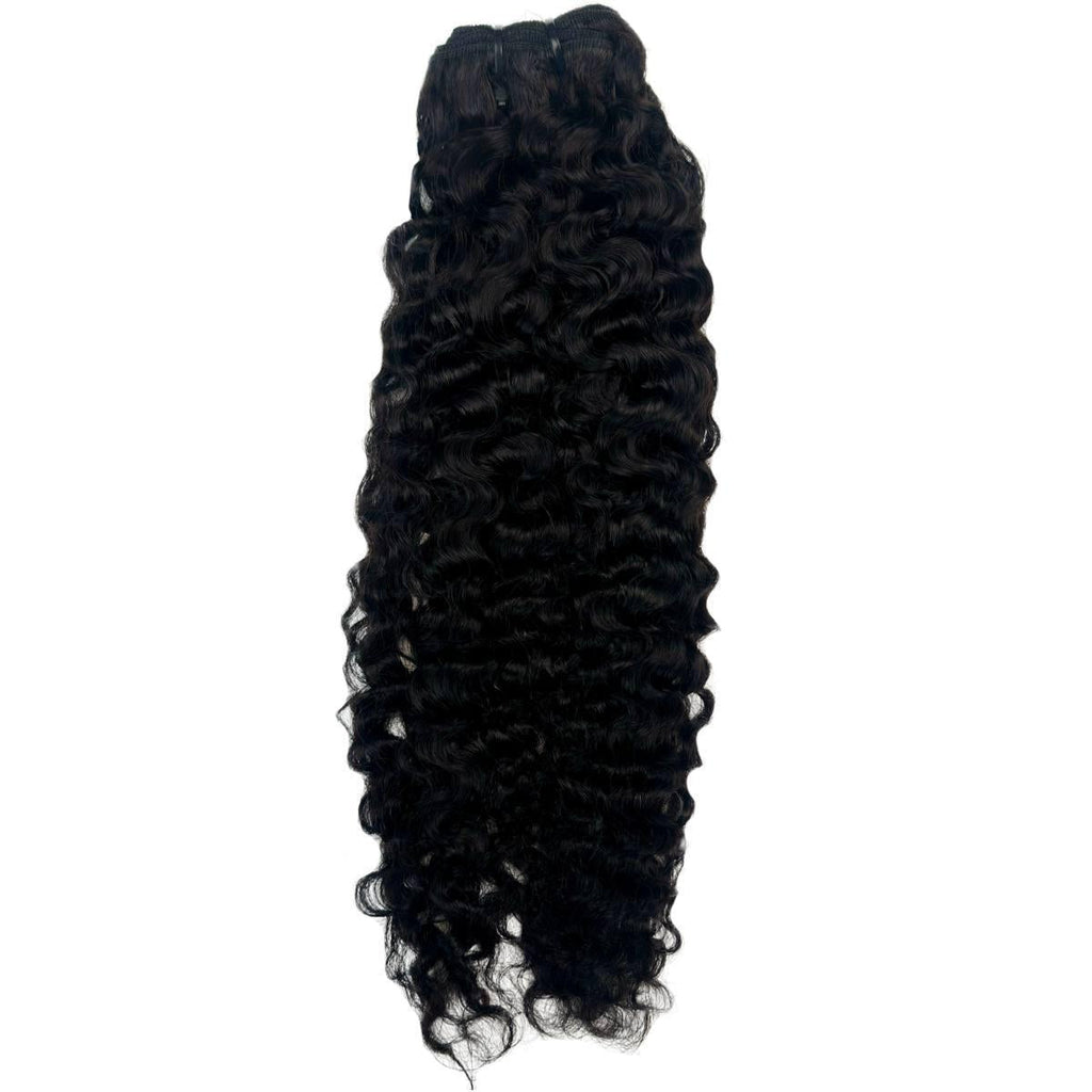 R!CH Girl• Baddie Authority ~ Burmese Curly 100% Human Hair Bundle Deals
