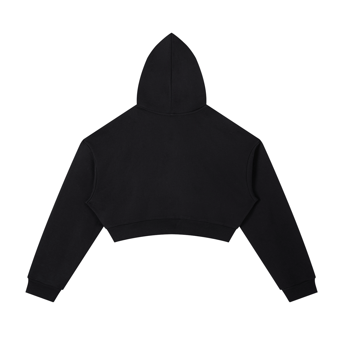 BADDIE AUTHORITY COLLECTION • CROPPED HOODIE